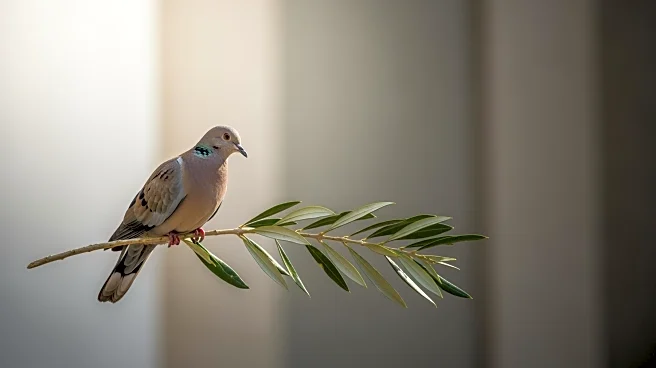 North Korea's Kim Yong Nam Dies, Marking End of Era in Diplomatic Representation