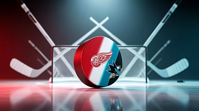 Detroit Red Wings Secure Shootout Victory Against San Jose, Prospects Shine