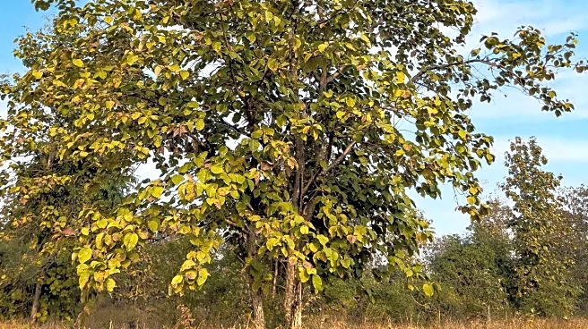 Healthcare Innovators Address Climate and Health Challenges in Upcoming Webinar