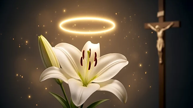 Vatican Clarifies Marian Titles, Rejects 'Co-redemptrix' to Maintain Christ's Centrality