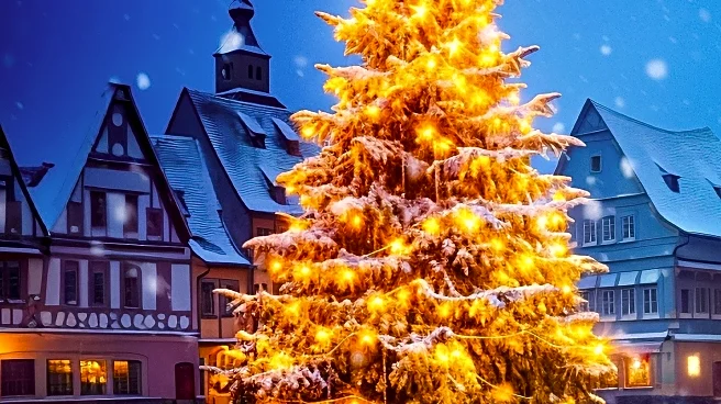 Germany Begins Christmas Tree Harvest, Continuing Centuries-Old Tradition