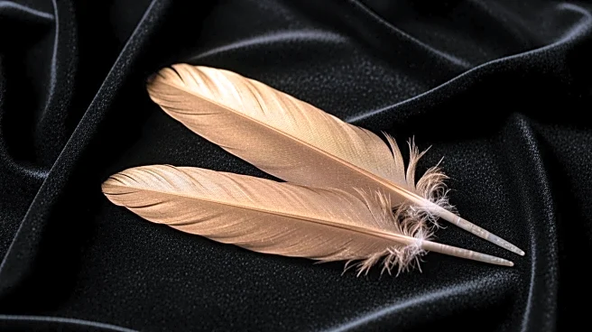 Eagles Prepare for Final 2025 Las Vegas Sphere Shows Amid High Ticket Demand