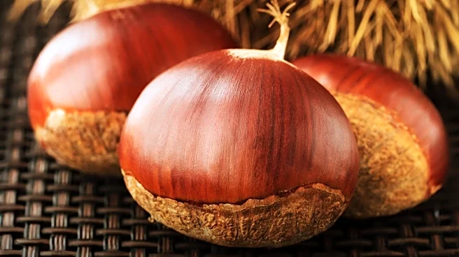 Indivior Highlights Benefits of Monthly Injectable Buprenorphine for Opioid Use Disorder