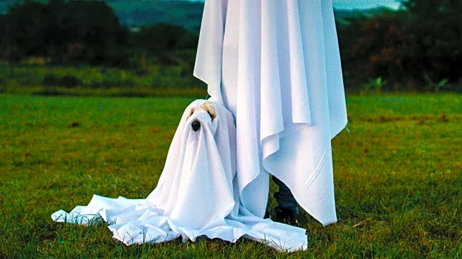 Heal the Bay Recycles Halloween Costumes to Minimize Plastic Waste