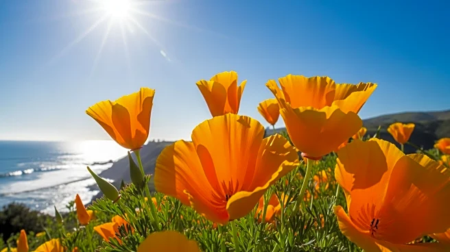 Visit California Launches Mini Webinar Series for Travel Advisors to Boost Destination Knowledge