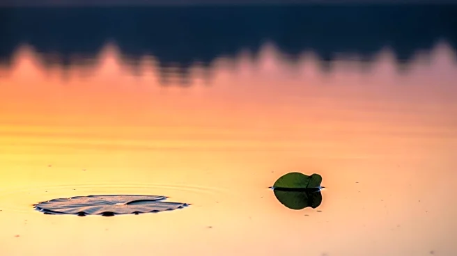 Study on Future Methane Emissions from Lakes and Reservoirs Highlights Climate Impact