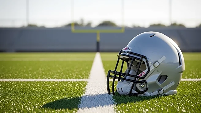 Arizona Cardinals' Michael Carter Faces Limited Role Amidst Crowded Backfield