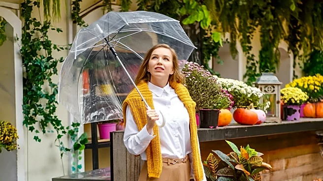 Above the Law Hosts Legally Themed Halloween Costume Contest, Finalists Announced