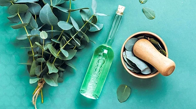 Linda Mackenzie Advocates for Natural Health Remedies in New Book