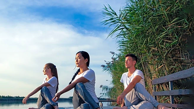 Emily Johnson's Elevate Wellness Collective Enhances Boutique Hotel Experiences