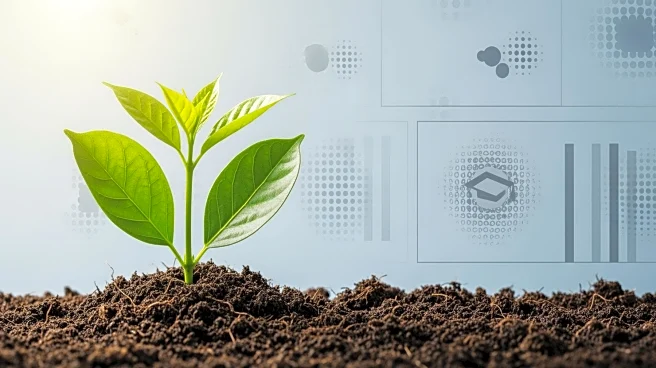 Study Explores Link Between Soil Fertility and National Intelligence Quotient