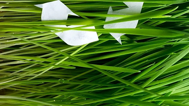 Pet Sustainability Coalition Highlights Pets' Carbon Footprint and Mitigation Strategies