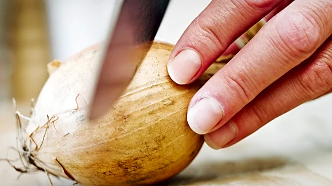 Cornell Researchers Discover Method to Reduce Onion-Induced Tears, Enhancing Kitchen Safety