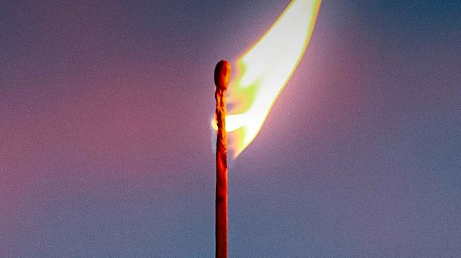 E2 Endovascular Engineering Presents Positive Results of ENGULF Study at VIVA Conference