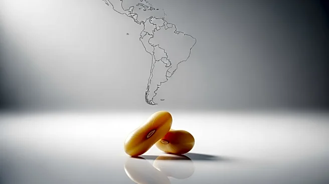 Soybean Futures Drop as China Opts for Brazilian Imports Amid Trade Concerns