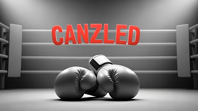 Jake Paul's Boxing Match with Gervonta Davis Cancelled Amid Legal Issues