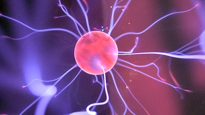 Researchers Reverse Anxiety in Mice by Targeting Amygdala Neurons