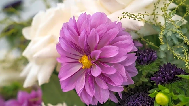 Jean Catherine Scott's Funeral Arrangements Announced in Fairport