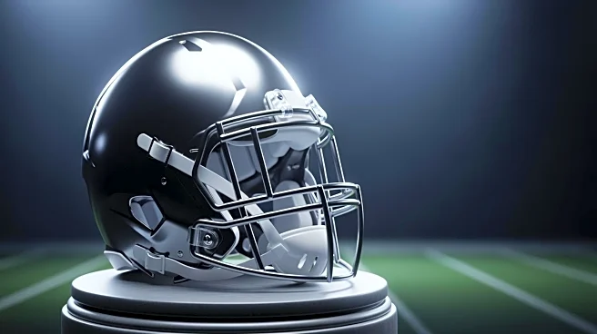 Former NFL Player Warns AFC About Steelers Hosting Home Playoff Game