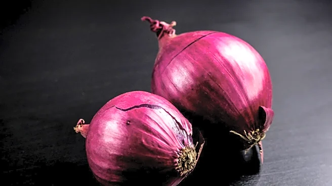 Cornell University Researchers Identify Method to Reduce Onion-Induced Tears