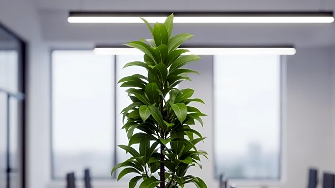 ManpowerGroup Highlights Employee Growth as Key to Business Resilience Amid AI Transformation