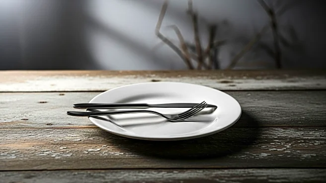 Nord Stream Sabotage Suspect Begins Hunger Strike in Italy