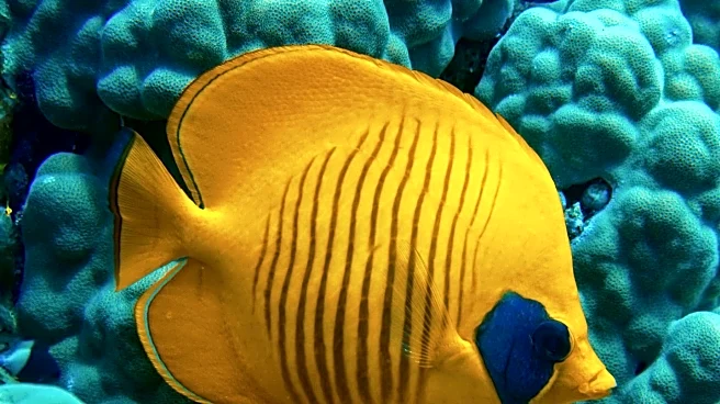 Neuroscientist Clarifies Misinterpretations of Menopause Research and Its Impact on Brain Health