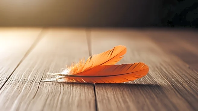 Hooters' Original Owners Reacquire Brand to Revitalize and Expand