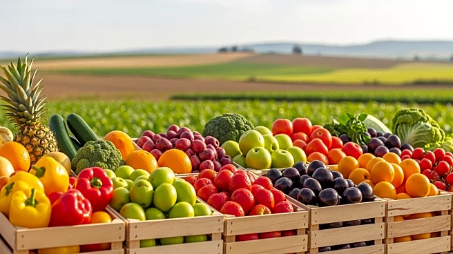 Egypt Agriculture Market Reaches USD 43 Billion, Driven by Modernization and Export Growth