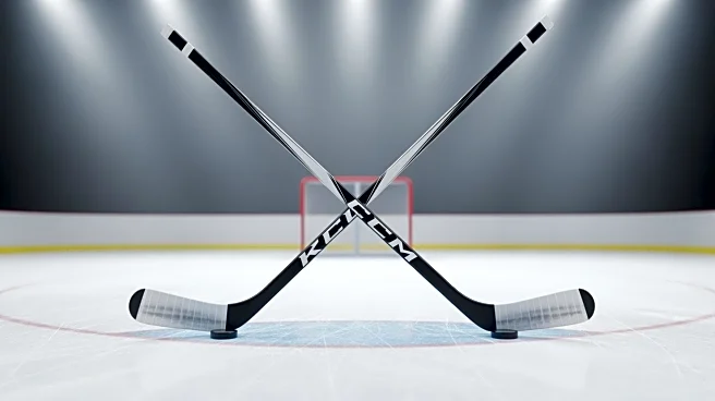 Minnesota Wild Aim for First Two-Game Win Streak Against Nashville Predators