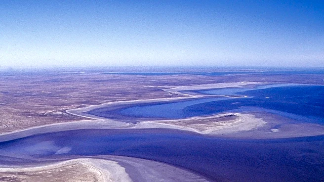 Early Oldowan Technology Thrived Amid Pliocene Environmental Changes in Turkana Basin