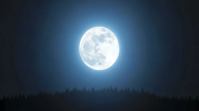 November's Beaver Supermoon: Brightest Lunar Event of 2025