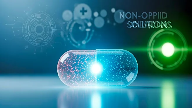 South Rampart Pharma Advances Non-Opioid Pain Treatment Development