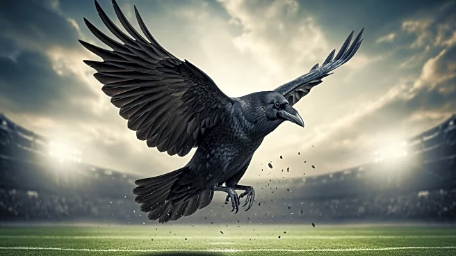 Baltimore Ravens' Lamar Jackson Leads Team to Surge in NFL Power Rankings