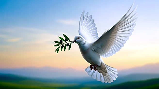 Turkey and Hamas Discuss Ceasefire Operations Amid Gaza Conflict