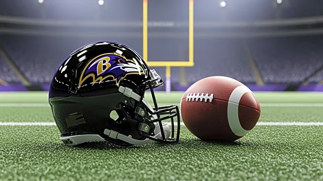 NFL Analysts Predict Ravens to Overtake Steelers in AFC North Race