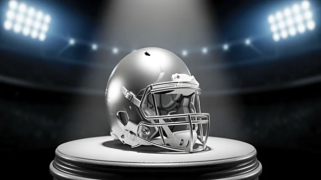 NFL Experts Predict Rams as NFC West Champions Amid Competitive Division