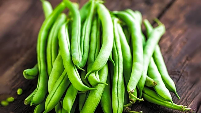 UK Campaign Aims to Double Bean Consumption for Health Benefits