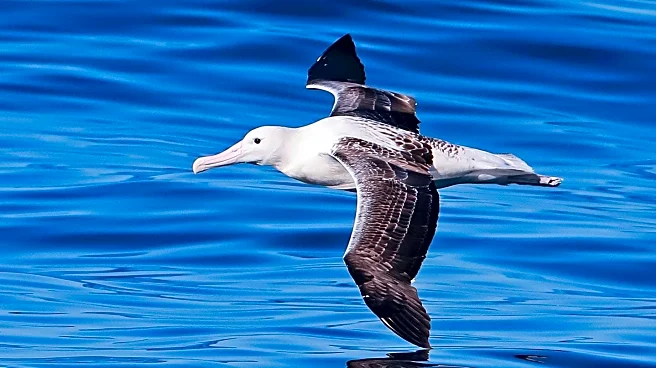 Albatross Tours Guarantees 97% of 2026 European Tours Amid High Demand