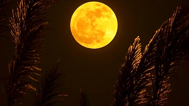 Beaver Moon Supermoon Illuminates California Skies