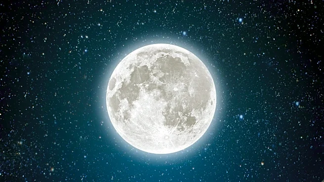 Beaver Moon 2025: Largest Supermoon of the Year Illuminates the Sky