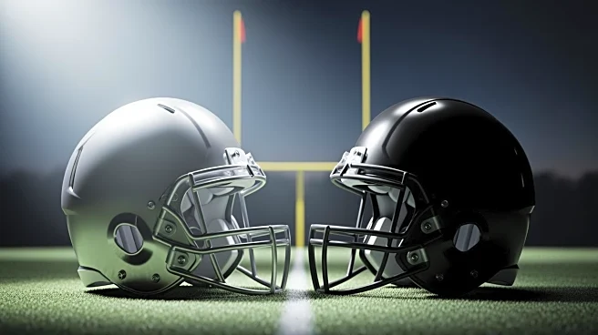 Minnesota Vikings Special Teams Shine and Falter in Game Against Lions