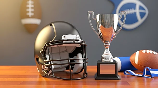 Panthers' Rico Dowdle Fined for Touchdown Celebration, Plans Charity Donation