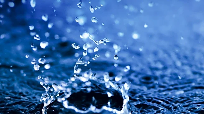 Social Media: Pros, Cons, and Impact on Teens