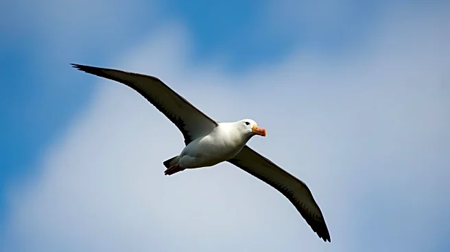 Albatross Tours Guarantees 97% of 2026 Tours Amid High Demand