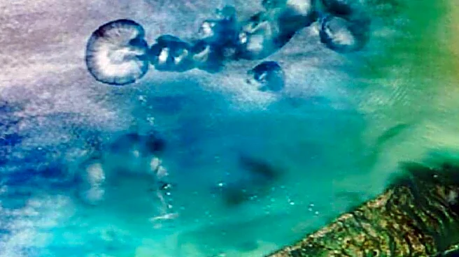 Florida Health Systems Embrace Proactive Design Amid Growing Demand