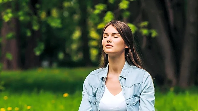 Psychologist Nicholas Van Dam Investigates Meditation's Adverse Effects on Mental Health