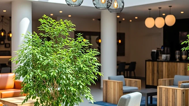 Hospitality Industry Advocates for Regenerative Practices to Enhance Sustainability