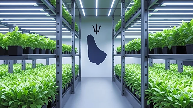 Indoor Vertical.Farm Partners with Barbados Government to Enhance Food Security through Vertical Farming