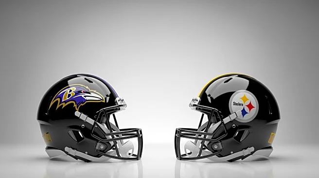 Analysts Favor Baltimore Ravens Over Pittsburgh Steelers in AFC North Race